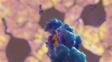 Bakteri Corynebacterium difteriae Gram-pozitif çubuk şekilli bakteri difteri ile savaşır. Bu da solunum yolu enfeksiyonuna ve deri lezyonlarına neden olur.