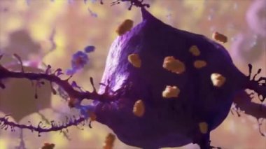 Bakteri Corynebacterium difteriae Gram-pozitif çubuk şekilli bakteri difteri ile savaşır. Bu da solunum yolu enfeksiyonuna ve deri lezyonlarına neden olur.