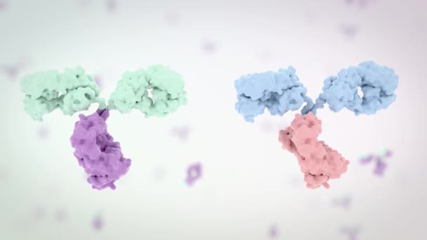 Medically Accurate Animation Antibody — 비디오
