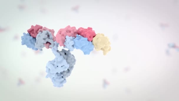 Medically Accurate Animation Antibody — ストック動画