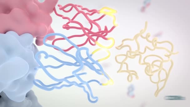 Medically Accurate Animation Antibody — Vídeo de stock