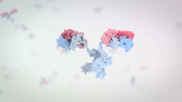 Cyclic Rotation Antibodies Including Alpha Channel — Vídeo de stock