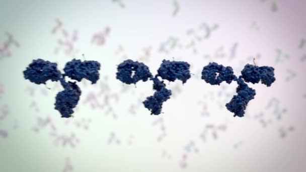 Medically Accurate Animation Antibody — Vídeo de stock