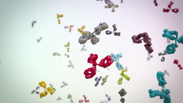 Medizinisch Korrekte Animation Eines Antikörpers — Stockvideo