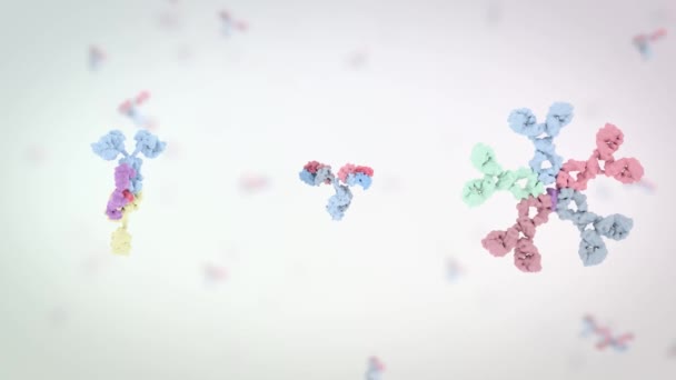 Medically Accurate Animation Antibody — Vídeo de stock