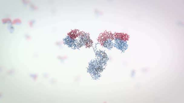 Medically Accurate Animation Antibody — Vídeo de stock