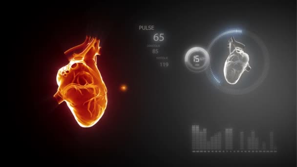 Heart Blood Pumping Coronary Circulation Science Health Related Animation — Vídeo de stock