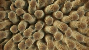 Probiyotik-bir sürü bifidobakteri ve maske. 3d canlandırma