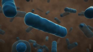 Patojenik Bakteri 3D Canlandırma