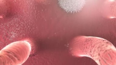 Bağışıklık sistemindeki bakteriler