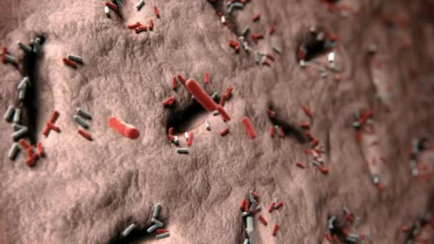 Gör Bakterievirus Rörlig Render Renderingsmikrob Människans Immunförsvar Virus Rör Sig — Stockvideo