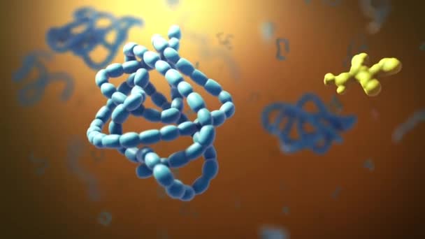 Tüm Kromozom Dna Hücre Çekirdeğinde Saklanır Sitoplazmadan Bir Membran Tarafından — Stok video