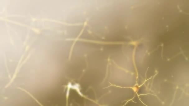ヒト神経系の中心器官脳解剖学アニメーションコンセプト — ストック動画