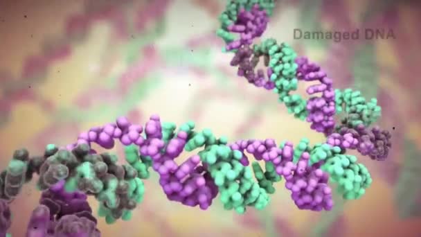 Dna Bozukluğu Strand Yapısı Bilim Kimyası Tıbbi Konsept Uhd Genetik — Stok video