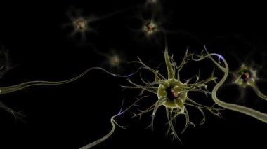 Beyindeki nöronlar. Sinir ve sinir hücreleri elektriksel kimyasal sinyaller yolluyor. Elektriksel uyarıların etkinliği sinapslar, aksonlar, nörotransmiterler, beyindeki dendritler,