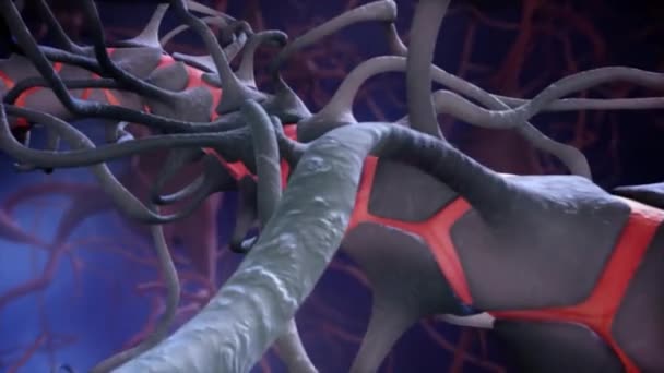 Brainpathways Animation Médicale — Video