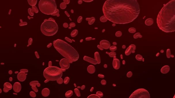 動脈内の赤血球 体内の流れ 医療人間の健康管理 赤血球 血液成分 3次元レンダリング赤血球 — ストック動画