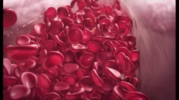 Véralvadási Folyamat Során Vér Folyadékból Gélré Alakul Vérrögöt Képezve — Stock videók