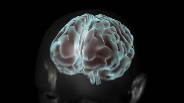 Menschliches Gehirn Mit Neuronalen Impulsen Dreht Sich Geordnete Neuronale Aktivitäten — Stockvideo