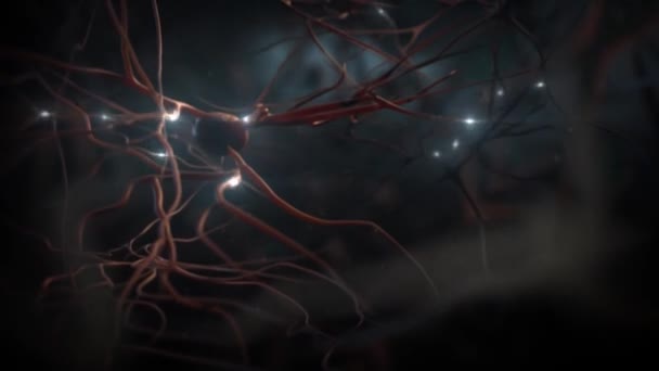 Animación Neuronal Actividad Sinapsis Neuronas Cabeza Neuroactividad Sinapsis Neurotransmisores Cerebro — Vídeo de stock