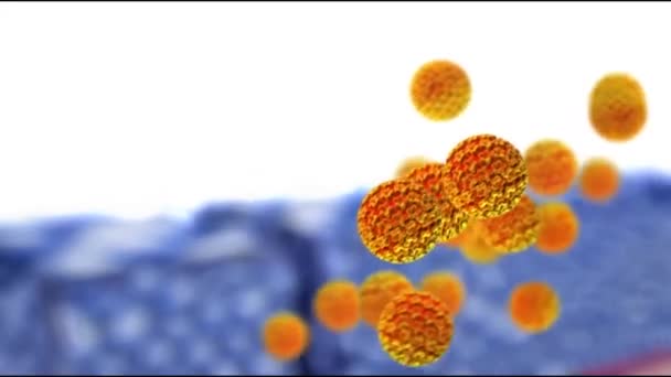 Nsan Papillomavirus Siğillere Bazı Türlerin Cinsel Organlara Bulaşmasına Rahim Ağzı — Stok video