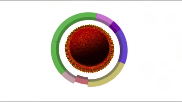 Kanker Papilloom Virus Componenten — Stockvideo
