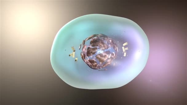 Celldelning Eller Kloningsceller Stamceller Som Delar Sig Mikroskopet Kloning Nära — Stockvideo
