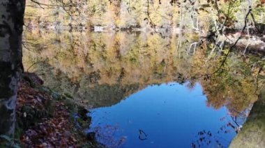 Küçük Göl 4k doğal yapay ayna gölü. Yapraklar sonbahar sonbahar renklerinde suyun yansımasına düşer. Bulutlu hava güneşi göl refleksine çarptı. Yapraklı su refleksi .