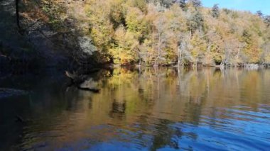 Fall Splendor. Suda orman yansımaları olan huzurlu bir göl yüzeyi. Sonbahar konsepti. Yeşil, sarı ve kırmızı yapraklı ağaçlar suya yansıyor. Bolu, Türkiye 'deki Yedigoller Milli Parkı