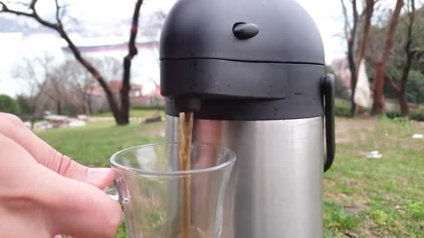 Mann Füllt Tasse Mit Tee Aus Thermoskanne Neben Frau Sitzend — Stockvideo