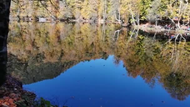 小湖4K天然人造镜湖 树叶飘落在水中 倒映在水面上 乌云天气的太阳光照射在湖面上反射 湖水反射与树叶 — 图库视频影像