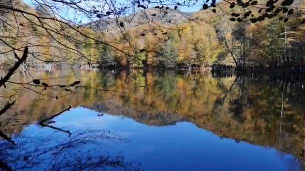 Video Van Reflectie Van Het Meer Het Bos Herfst — Stockvideo