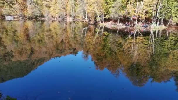 Lacul Mic Natural Oglindă Artificială Lac Frunzele Picătură Reflecția Apei — Videoclip de stoc