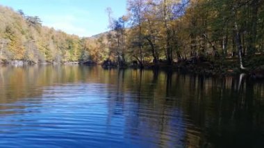 Fall Splendor. Suda orman yansımaları olan huzurlu bir göl yüzeyi. Sonbahar konsepti. Yeşil, sarı ve kırmızı yapraklı ağaçlar suya yansıyor. Bolu, Türkiye 'deki Yedigoller Milli Parkı