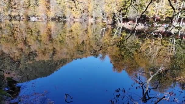 Small Lake Natural Artificial Mirror Lake Leaves Drop Water Reflection — Stock Video