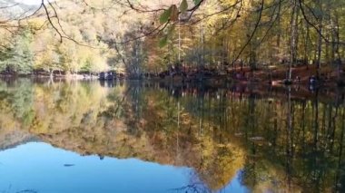 Sonbaharda renkli ağaç manzaraları, berrak gölden yansıyan görüntüler.