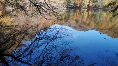 Sonbaharda renkli ağaç manzaraları, berrak gölden yansıyan görüntüler.