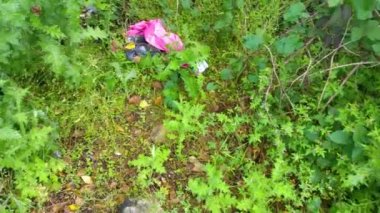 Doğadaki vahşi çöplük. Atık depolama. Çöp yığını. Yasadışı çöplük. Çevre kirliliği. Çöp sahasında israf.