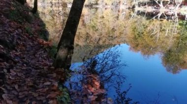 Dağların kıyısındaki göl, ormanın berrak sulara yansıması. Idyllic sonbahar manzarası. Orman ve gökyüzü suyun yansımasında. Sessiz sonbahar balıkçılık manzarası. Vahşi yaşam
