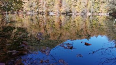 Geniş, sonbahar ormanı gölün sakin sularına yansıyor.