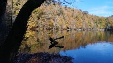 Renkli ormanda göz kamaştırıcı dağ gölü, rüya gibi doğal cennet.