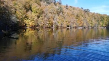 Fall Splendor. Suda orman yansımaları olan huzurlu bir göl yüzeyi. Sonbahar konsepti. Yeşil, sarı ve kırmızı yapraklı ağaçlar suya yansıyor. Bolu, Türkiye 'deki Yedigoller Milli Parkı