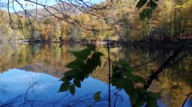 Sonbaharda renkli ağaç manzaraları, berrak gölden yansıyan görüntüler.