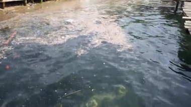 Dünyanın en kirli plajı, Plastik deniz enkazı.