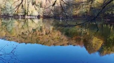 Sonbaharda renkli ağaç manzaraları, berrak gölden yansıyan görüntüler.