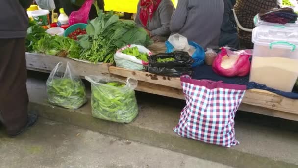 Hortalizas Ecológicas Granja Local Mercado Agricultores Verano — Vídeo de stock