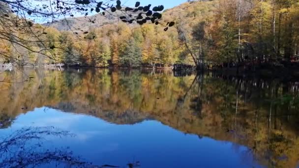 Видео Отражения Озера Лесу Осенью — стоковое видео