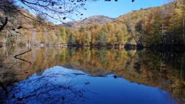 Renkli ormanda göz kamaştırıcı dağ gölü, rüya gibi doğal cennet.