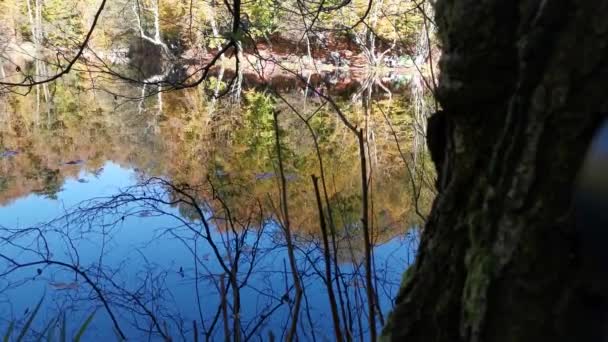 Fantastisk Fjällsjö Den Färgglada Skogen Drömsk Naturlig Himmel — Stockvideo