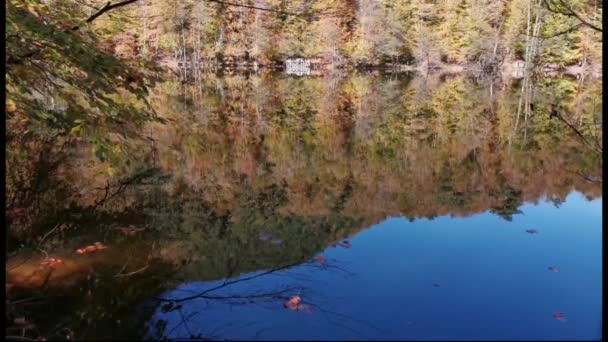 Wide Hutan Musim Gugur Tercermin Perairan Tenang Danau — Stok Video